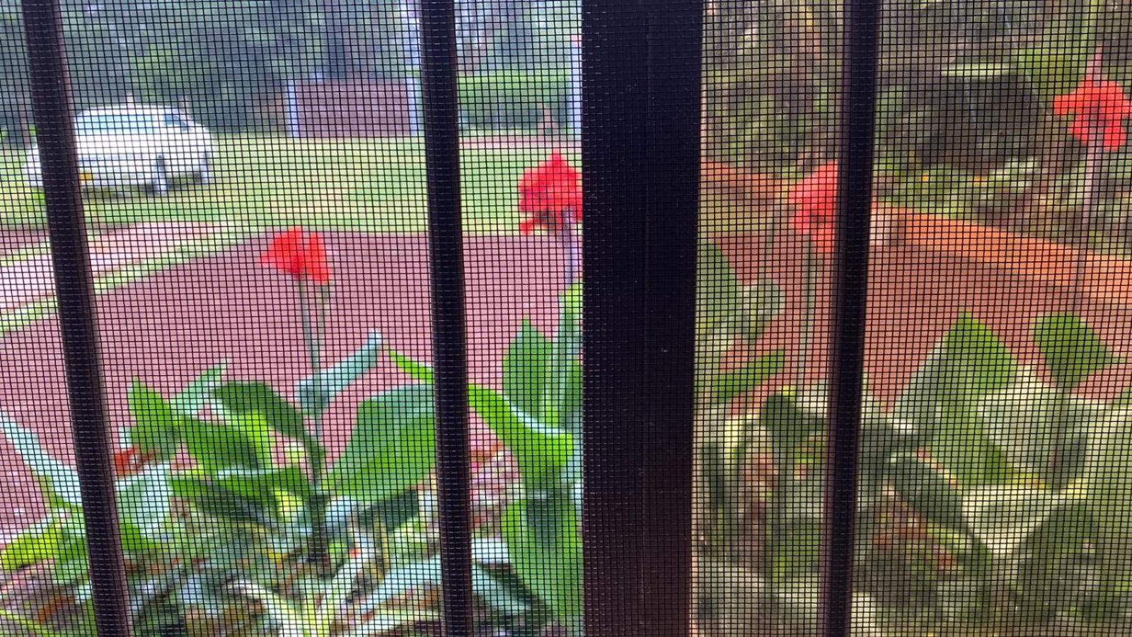 Home Feeling Kilimanjaro 모시 외부 사진